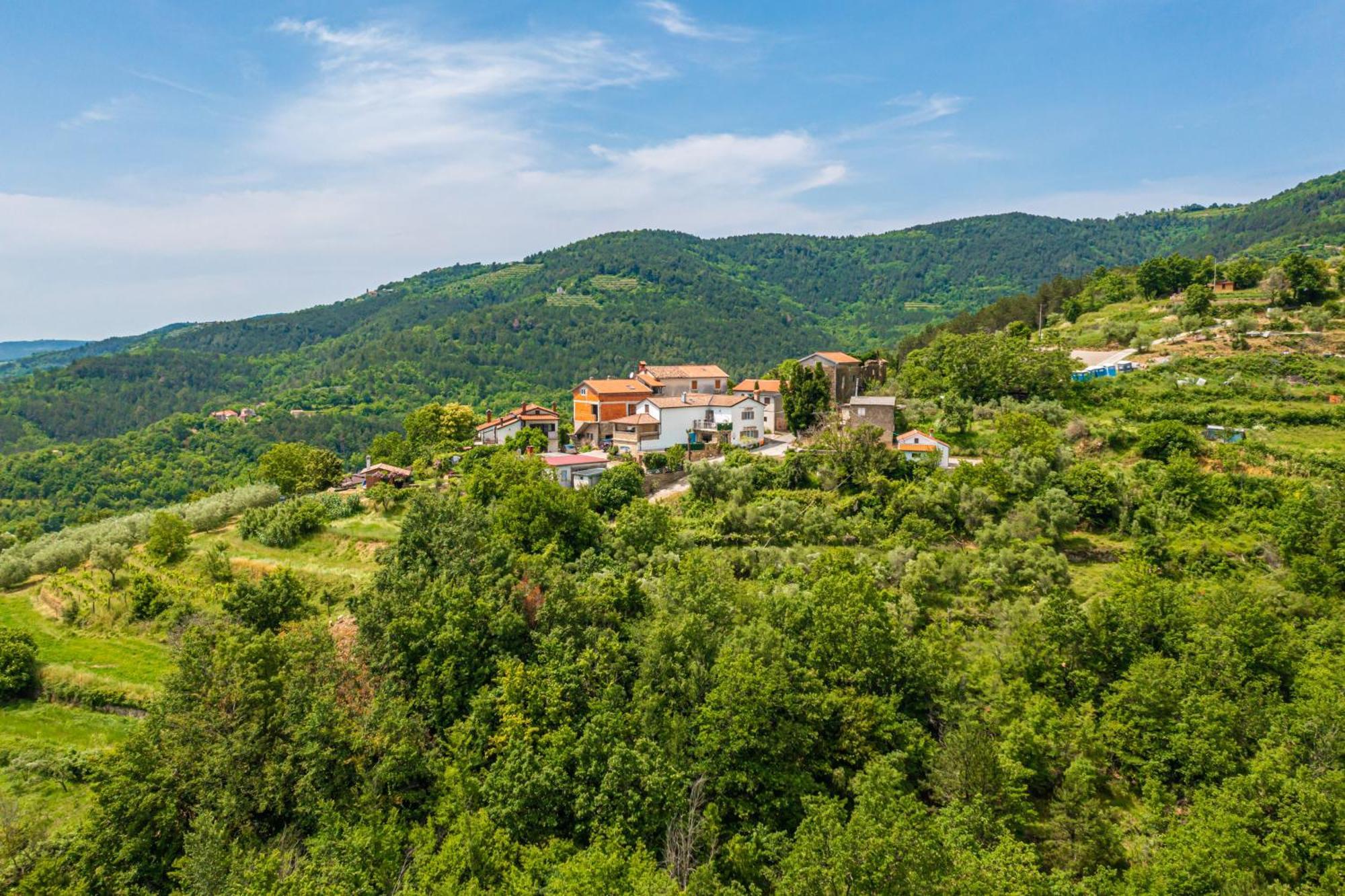 Holiday Home Belveder Motovun With Heated Pool Livade Exterior foto